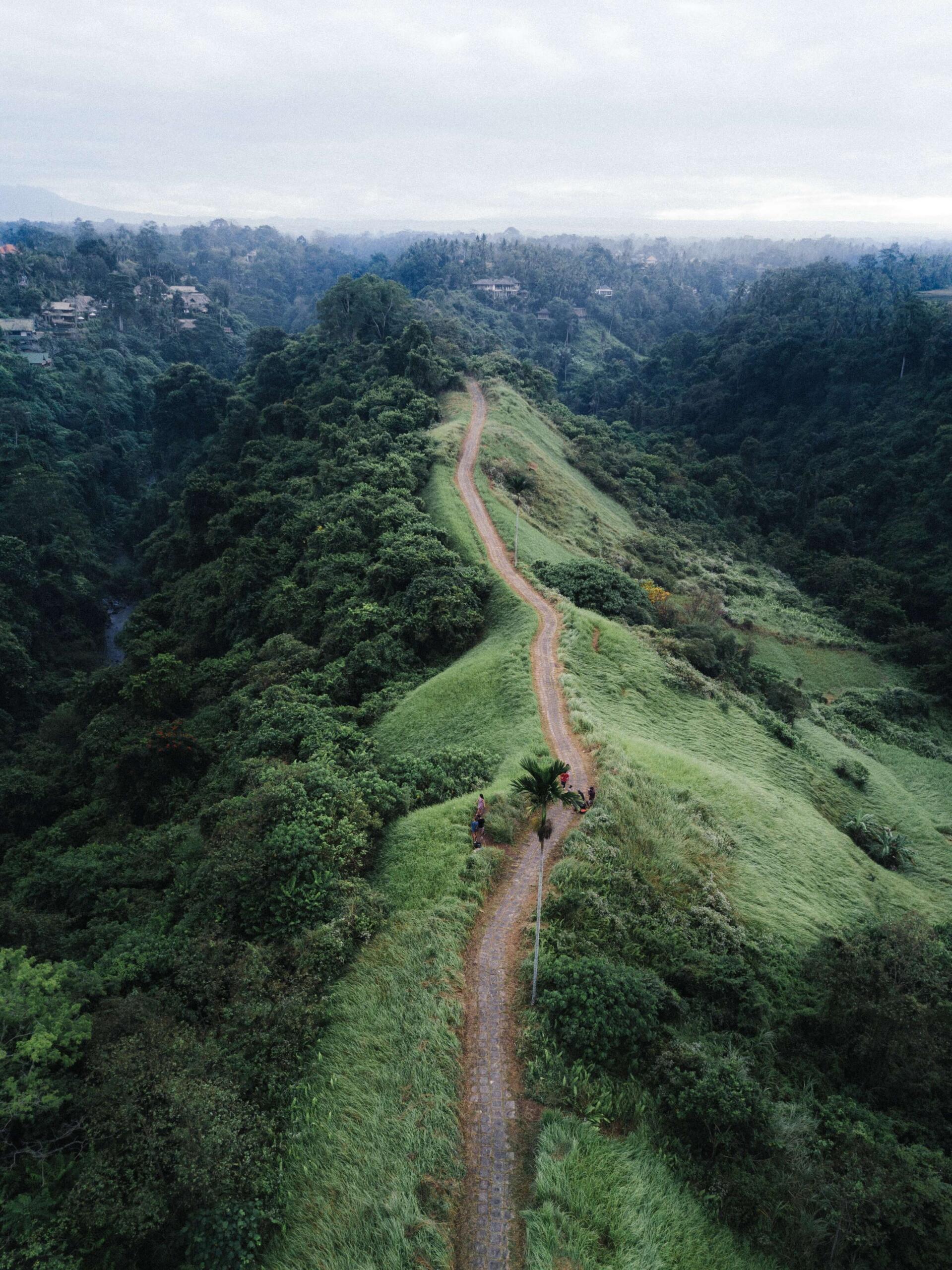 A walk path on a hill.