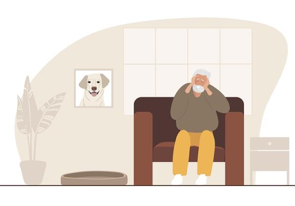 Grief counselling Geelong. Understanding grief after losing a pet
