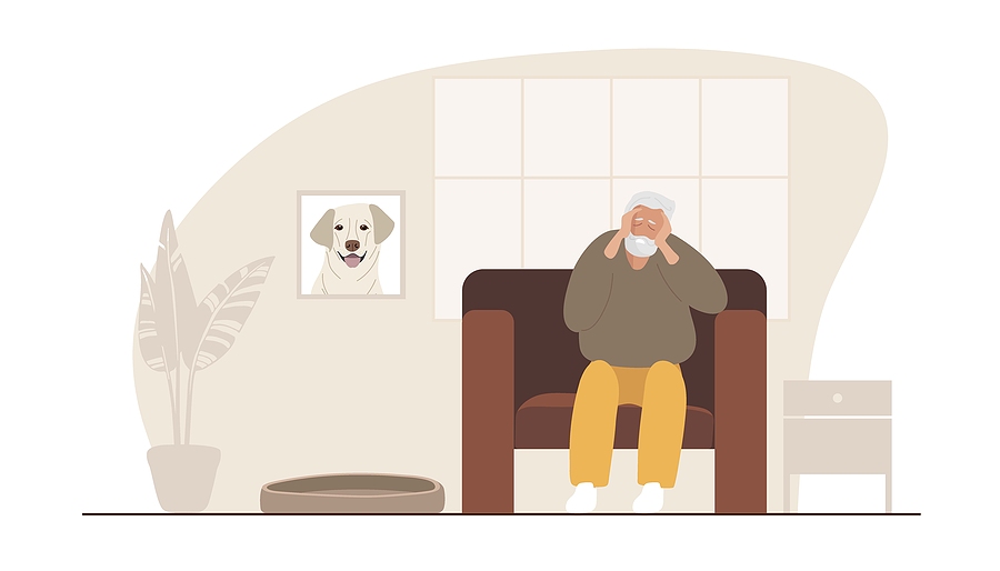 Grief counselling Geelong. Understanding grief after losing a pet